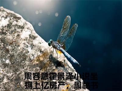 经典小说周容意霍景泽无广告小说免费阅读坐拥上亿房产，周秘书她不干了!全章节免费阅读