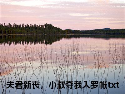江琯清叶寒峥全文免费阅读无弹窗大结局-夫君新丧，小叔夺我入罗帐在线阅读