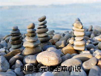 凤卿尘元凌小说（凤卿尘元凌）全文免费阅读无弹窗_凤卿尘元凌全文免费阅读无弹窗最新章节列表
