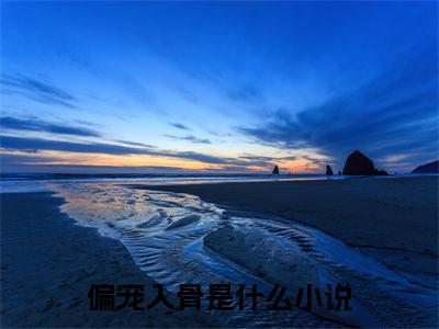 偏宠入骨全文免费阅读无弹窗大结局-墨逸景池阮阮小说在哪里可以看