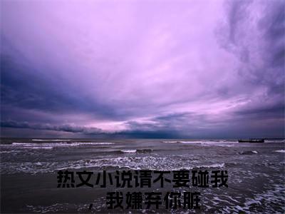 高赞小说林雨泽李墨雪（请不要碰我，我嫌弃你脏）完结阅读_请不要碰我，我嫌弃你脏林雨泽李墨雪免费看全文