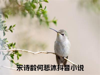 宋诗龄何悲沐全文免费阅读（宋诗龄何悲沐）全文无删减版在线阅读_宋诗龄何悲沐全文免费阅读最新章节列表_笔趣阁