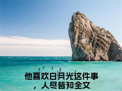 他喜欢白月光这件事，人尽皆知全文免费阅读大结局-魏暄和宋长离最新章节阅读