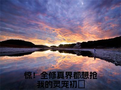 惊！全修真界都想抢我的灵宠初妡小说全文，惊！全修真界都想抢我的灵宠初妡无弹窗免费阅读