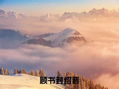 顾书封绍晋小说全文免费阅读 -顾书封绍晋在线完整版