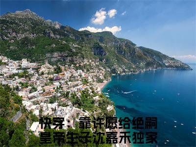 快穿：靠许愿给绝嗣皇帝生子沈嘉禾（快穿：靠许愿给绝嗣皇帝生子沈嘉禾）高质量小说免费阅读_快穿：靠许愿给绝嗣皇帝生子沈嘉禾最新章节列表_笔趣阁