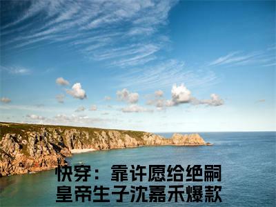 快穿：靠许愿给绝嗣皇帝生子沈嘉禾全集免费阅读无弹窗_快穿：靠许愿给绝嗣皇帝生子沈嘉禾完结小说榜单阅读（快穿：靠许愿给绝嗣皇帝生子沈嘉禾小说）
