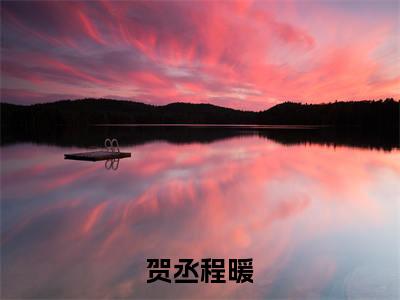 贺丞程暖全文阅读-贺丞程暖小说全文免费阅读_贺丞程暖最新章节列表_笔趣阁