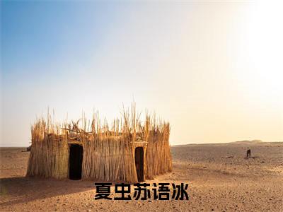 夏虫苏语冰新书热荐免费小说全文完整版-小说精选片段阅读