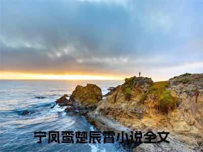 宁凤鸾楚辰霄小说免费阅读-精选宁凤鸾楚辰霄小说大结局阅读