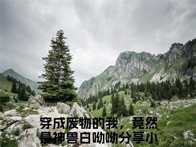 穿成废物的我，竟然是神兽白呦呦（穿成废物的我，竟然是神兽白呦呦）精彩小说-穿成废物的我，竟然是神兽白呦呦小说全文无删减版免费阅读