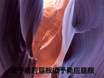 凌予希应庭桉（完整版）小说推荐-凌予希应庭桉热文小说凌予希应庭桉免费阅读全文