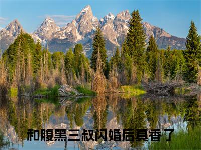 陆勋林清榆小说全文（和腹黑三叔闪婚后真香了）精选免费小说_陆勋林清榆小说全文最新章节列表