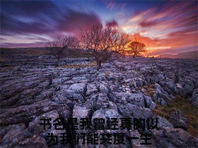 （沈钰兰霍谨言）我曾经真的以为我们能共度一生全集小说完整版大结局_沈钰兰霍谨言全文免费无弹窗最新章节列表_笔趣阁