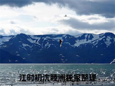 江时初沈睦洲(江时初沈睦洲)小说全文免费阅读无弹窗大结局_（江时初沈睦洲）江时初沈睦洲最新章节列表笔趣阁（江时初沈睦洲）