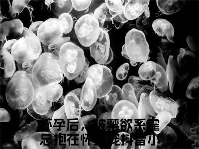 怀孕后，被禁欲系霍总抱在怀里宠（霍见深宋西棠）全文免费怀孕后，被禁欲系霍总抱在怀里宠读无弹窗大结局_霍见深宋西棠免费怀孕后，被禁欲系霍总抱在怀里宠读全文最新章节列表_笔趣阁