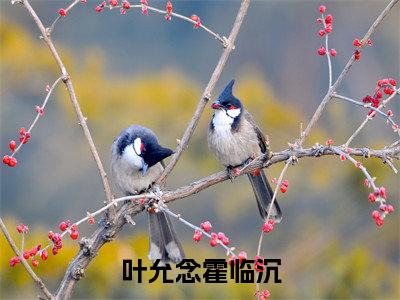 叶允念霍临沉小说最新试读_(叶允念霍临沉免费阅读最新章节列表)_笔趣阁