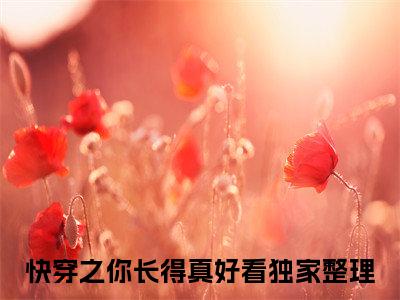 快穿之你长得真好看（宸惜星灿）全文免费阅读无弹窗大结局_宸惜星灿小说在线阅读无删减