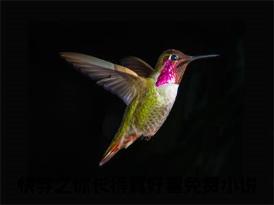 宸惜星灿全文免费阅读_（快穿之你长得真好看小说）宸惜星灿言情小说在线阅读笔趣阁（快穿之你长得真好看）