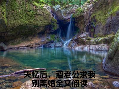 失忆后，渣老公求我别离婚小说-《乐颜陆寒山》完整章节阅读无弹窗免费阅读大结局