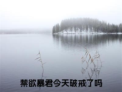 尤小怜谢政安无弹窗（禁欲暴君今天破戒了吗）全文免费阅读无弹窗大结局_禁欲暴君今天破戒了吗最新章节列表（禁欲暴君今天破戒了吗）