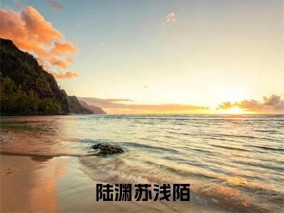 陆渊苏浅陌小说（陆渊苏浅陌）完整版全文在线赏析-小说陆渊苏浅陌全文大结局已完结