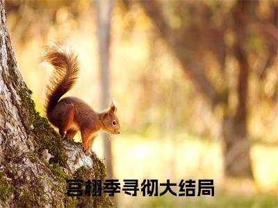 宫栩季寻彻小说（宫栩季寻彻）最新章节阅读-宫栩季寻彻最新热点小说