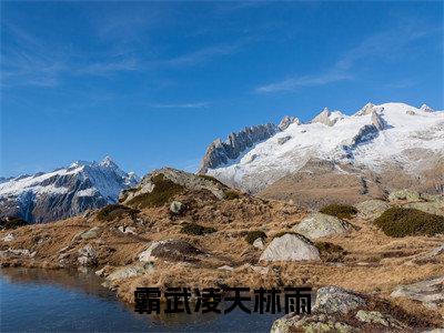 霸武凌天林雨全本小说无弹窗阅读-霸武凌天林雨（霸武凌天林雨）精彩热门小说