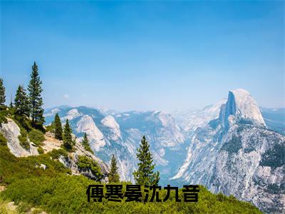 婚后小娇妻马甲掉不停，终究是傅爷高攀了全文免费阅读无弹窗大结局-傅寒晏沈九音最新章节列表_笔趣阁（婚后小娇妻马甲掉不停，终究是傅爷高攀了）