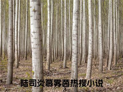 陆司炎慕雾茵小说大结局免费阅读-完结版陆司炎慕雾茵小说免费阅读