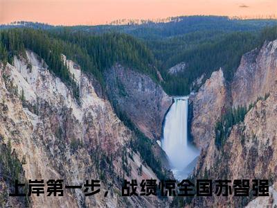 上岸第一步，战绩惊全国苏智强精选好书-上岸第一步，战绩惊全国苏智强无删减小说在线阅读（上岸第一步，战绩惊全国苏智强全文免费阅读）