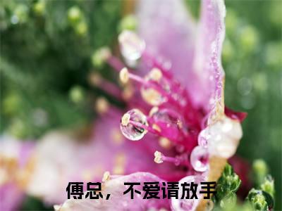 乔星晚傅景澈全文免费阅读无弹窗大结局_乔星晚傅景澈（傅总，不爱请放手）小说结局免费阅读（傅总，不爱请放手）