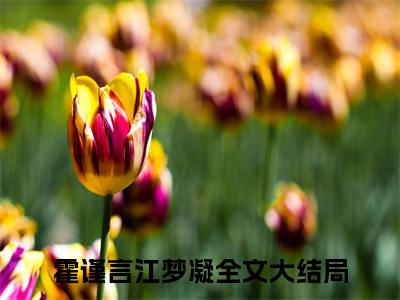 全章节完整《霍谨言江梦凝》全文阅读《霍谨言江梦凝》