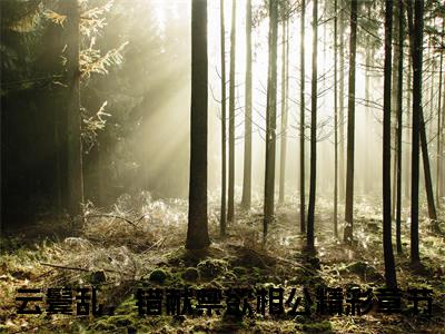 小说云鬓乱，错献禁欲相公全文免费阅读无弹窗大结局-陆霁安容央云鬓乱，错献禁欲相公免费阅读大结局