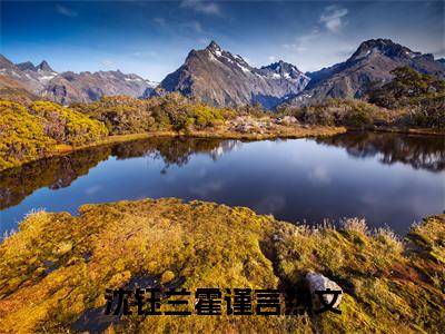 沈钰兰霍谨言(沈钰兰霍谨言)全文免费阅读无弹窗大结局_(沈钰兰霍谨言)小说免费阅读无弹窗最新章节列表