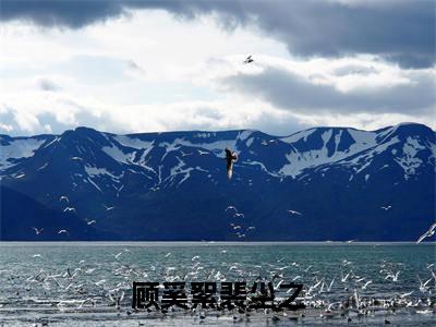 甜爆款小说顾奚絮裴尘之-顾奚絮裴尘之免费在线阅读