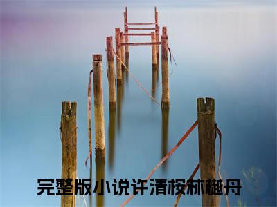 许清桉林樾舟（许清桉林樾舟全文免费阅读）完结阅读_许清桉林樾舟全文免费阅读免费看全文