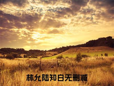 【新书】《林允陆知白》全文免费阅读无弹窗大结局-林允陆知白全章节免费阅读