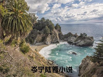 岑宁陆晋最新章节（岑宁陆晋全文+后续）全文免费阅读无弹窗大结局_岑宁陆晋全文+后续免费阅读（岑宁陆晋）