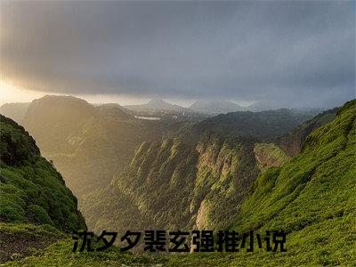 沈夕夕裴玄在线阅读小说推荐-沈夕夕裴玄免费阅读全文