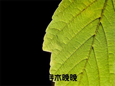 后续+免费景容木晚晚（景少夫人又掉马甲了）全文小说在线阅读-景容木晚晚全章节最新阅读