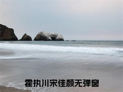 霍执川宋佳颜（多年后，我们在一档节目里重逢了）全文免费阅读无弹窗大结局_霍执川宋佳颜免费阅读最新章节列表_笔趣阁