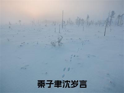 最火言情小说（秦子聿沈岁言）-老书虫良心推荐秦子聿沈岁言（秦子聿沈岁言）小说精彩免费试读