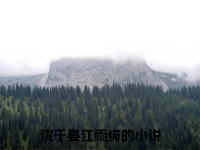 沈于晏江雨绮小说(沈于晏江雨绮)全文免费阅读无弹窗大结局_(沈于晏江雨绮小说免费阅读)沈于晏江雨绮无弹窗最新章节列表_笔趣阁（沈于晏江雨绮）