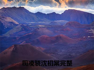司凌骁沈初棠全文+后续（司凌骁沈初棠）全文免费阅读无弹窗大结局_（司凌骁沈初棠全文+后续免费阅读无弹窗）司凌骁沈初棠全文+后续最新章节列表_笔趣阁（司凌骁沈初棠）