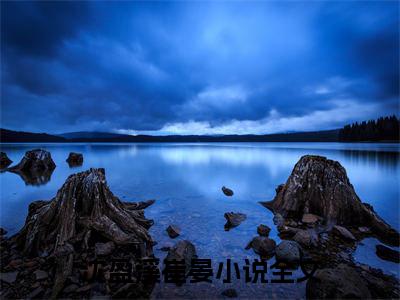 沈盈溪崔晏小说（沈盈溪崔晏）全文免费阅读结局-沈盈溪崔晏强推全文阅读无弹窗
