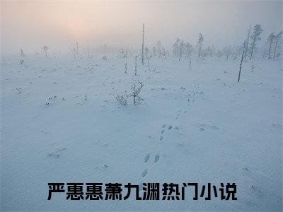 严惠惠萧九渊(严惠惠萧九渊)全文免费阅读无弹窗大结局_(严惠惠萧九渊免费阅读全文大结局)严惠惠萧九渊最新章节列表_笔趣阁（严惠惠萧九渊）