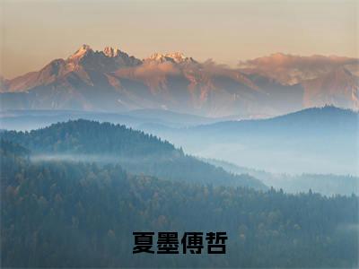 夏墨傅哲小说免费阅读夏墨傅哲小说全文免费阅读_夏墨傅哲最新章节列表笔趣阁