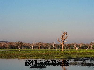 颜烟夜汶昭最新章节阅读-颜烟夜汶昭免费阅读大结局无弹窗