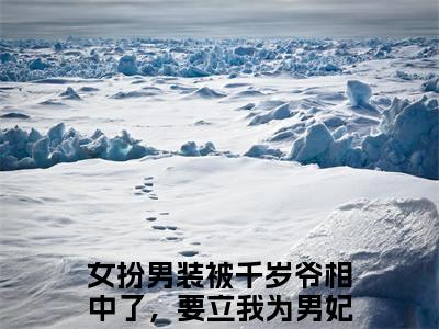 云陌晋苍（女扮男装被千岁爷相中了，要立我为男妃）全文免费阅读无弹窗大结局_云陌晋苍（女扮男装被千岁爷相中了，要立我为男妃）最新章节列表